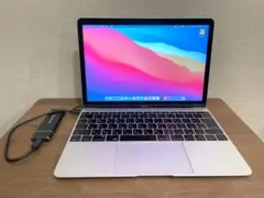 ジャンク MacBook2017 12inch 256SSD m3 シルバー ジャンク MacBook2017 12inch 256SSD m3 シルバー Amazon.com