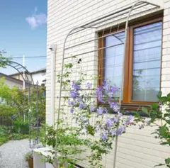 Item thumbnail for item 85930cfd-4ee9-4786-b027-2823e4364968