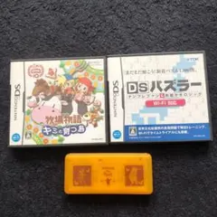 牧場物語 キミと育つ島 DSパズラー ソフトケース付き