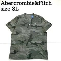 タグ付き新品★Abercrombie & Fitch 半袖Tシャツ 迷彩 3L