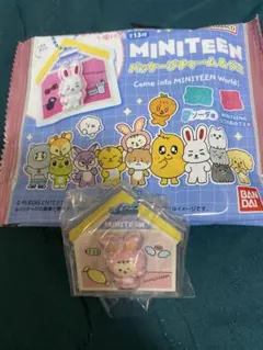 SEVENTEEN MINITEEN パッケージチャーム &グミセットのサムネイル