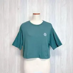 【AsknowAsplus】半袖Tシャツ クロップド丈 刺繍ポイント 緑 フリーのサムネイル