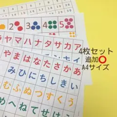 あいうえお表 平仮名 片仮名 数字 学習 知育玩具 特別支援学級 療育 手作りのサムネイル