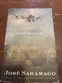Small Memories - José Saramago