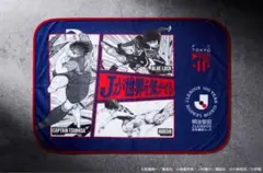 【非売品】FC東京　熱狂ブランケット　入場者　来場者特典