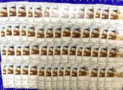 ポケカ　イーブイ　ブイサーチ　イーブイヒーローズ　58枚　大量　レックウザ　人気