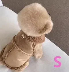 Item thumbnail for item 55eb6314-9466-488d-a513-e35bd309640e