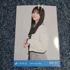 乃木坂46 生写真 福袋2026 シャツワンピース　菅原咲月