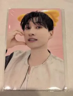 2026年最新】コアラのマーチ スリーブの人気アイテム - メルカリ