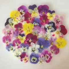 mint ◆ オーダー受付中 ✩.*˚様 リクエスト 2点 まとめ商品