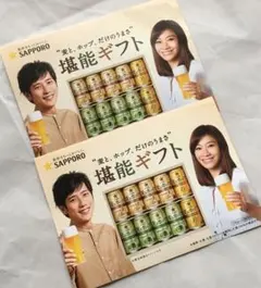 麦とホップ 二宮和也さん チラシ ２枚セット