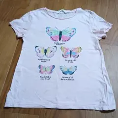 蝶のイラスト Tシャツ ピンク