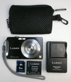 ⭐︎美品⭐︎Panasonic LUMIX DMC FX01 革ケース　動作確認済 LUMIX☆DMC-FX01✨極美品⭐️専用本革ケース❤️安心の実働品