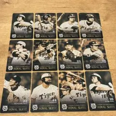 阪神タイガース 甲子園球場ロイヤルスイート入場券