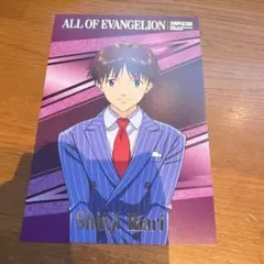 エヴァンゲリオン エヴァ 30周年記念展 箔押しポストカードセット 碇シンジ