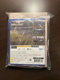 SENGOKU DYNASTY ps5