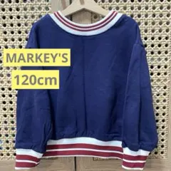 Item thumbnail for item 839312a4-305c-476e-99bf-cffaa0ce0208