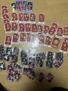 バレーボール男子日本代表 宮浦 永露