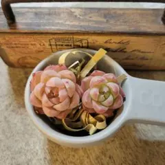 Miwa Saito様 リクエスト 5点 まとめ商品