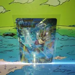 Item thumbnail for item e02bc2bf-6da0-4e15-85cc-66625dcb46d4