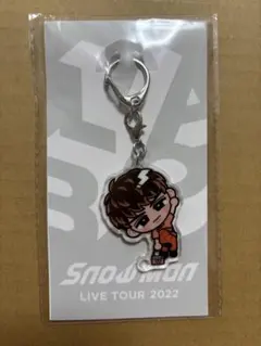 向井康二 室龍太 グッズ セット 公式写真 アクキー クリアファイル 向井康二 室龍太 グッズ セット 公式写真 アクキー クリアファイル