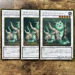 2026年最新】ナチュルビーストの人気アイテム - メルカリ