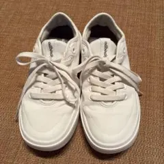 Allbirds スニーカー ホワイト