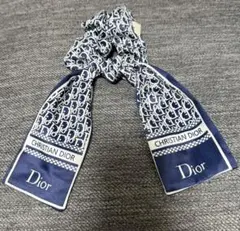 Dior ロゴ入りリボン風シュシュ ネイビー ヘアゴム ノベルティ