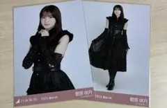 Item thumbnail for item 83ccf085-d388-4896-b89d-977ea7fff8c6