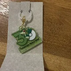 ポケチャーム ポケモン30周年ロゴマスコット2 ツタージャ