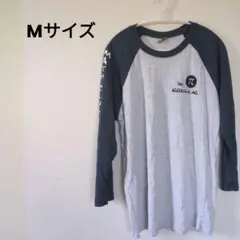 I'm π IRREGULAR ラグランTシャツ