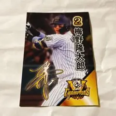 阪神タイガース　2025リーグ優勝記念 甲子園歴史館限定配布カード梅野隆太郎選手