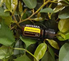 【❗️希少 新品 未開封 最安】ドテラ ウィンドエレベーション 期限26年4月 2025年最新】ドテラ ウィンドエレベーションの人気アイテム