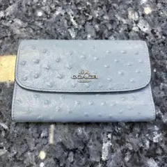 コーチ 新品未使用 花柄カットワーク 長財布 CA065 - メルカリ