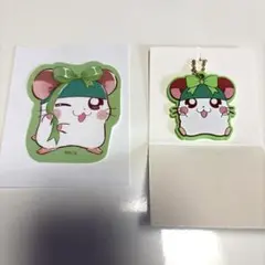 かぶるくん　まとめ売り　ダイソー