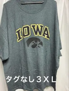 IOWA アイオワ大学 ロゴ Tシャツ グレー