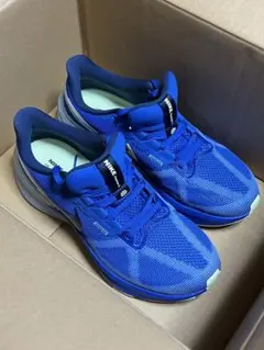 Item thumbnail for item 740af2a1-8096-4ef5-ad2e-c3abe55b1485