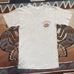 v*9様 90’s Tシャツ シングルステッチ 霜降りグレー アメ製 染み込み