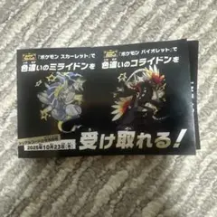 色違い ミライドン