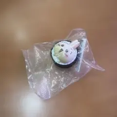 くら寿司　ビッくらポン　ちいかわ　うさぎ