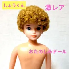 リカちゃんキャッスル おたのしみドール レンくん ESC - メルカリ