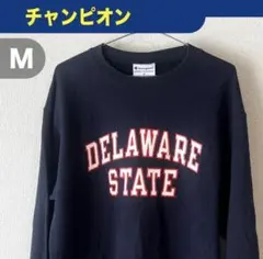 Champion チャンピオン 2段カレッジプリント スウェット デラウェア M