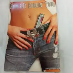 Aerosmith How's It Honkin' Tour フォトブック