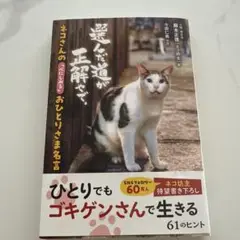 ネコさんの「心にしみる」おひとりさま名言