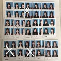 seju 証明写真風 バラ売り フォトカード セットこぞのいねねだけ売れて