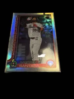 ヤクルトスワローズ　ドミンゴ・サンタナ　199枚限定！　topps