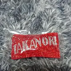 岩田剛典 ネームキーホルダー