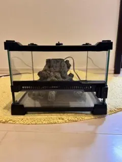 Item thumbnail for item d7ba70db-5baf-4d34-8032-20c8db91d593