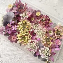 No.184 小花のドライフラワーセット