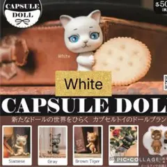 j*6様 カプセルドール　ガチャ　ねこ　白　White